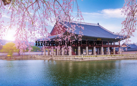 我对政策的具体内容感到欣慰