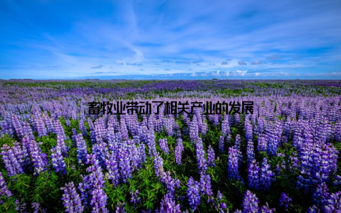 畜牧业带动了相关产业的发展