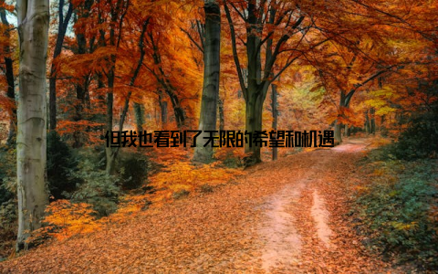 但我也看到了无限的希望和机遇