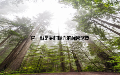 它, 就是乡村振兴的秘密武器