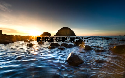 吸引我的是那些前沿技术