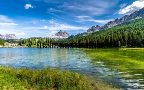 让我们来看看畜牧问题有哪些