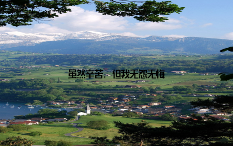 虽然辛苦, 但我无怨无悔