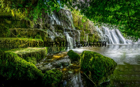 这条路并不好走, 但我从未放弃