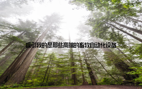 吸引我的是那些高端的畜牧自动化设备