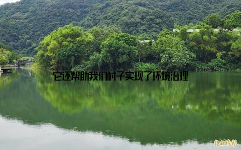 它还帮助我们村子实现了环境治理