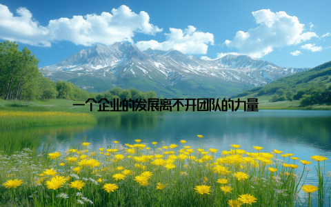 一个企业的发展离不开团队的力量