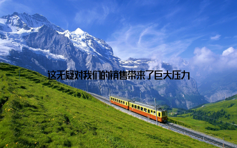 这无疑对我们的销售带来了巨大压力