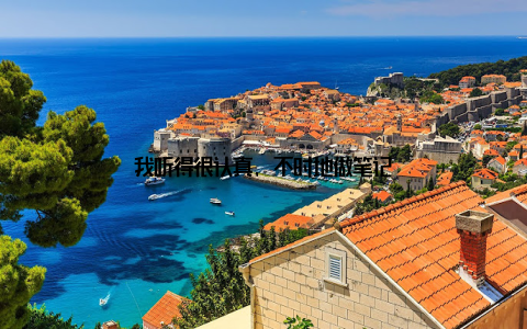 我听得很认真, 不时地做笔记