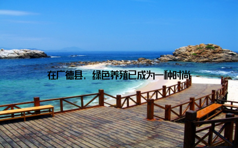 在广德县, 绿色养殖已成为一种时尚