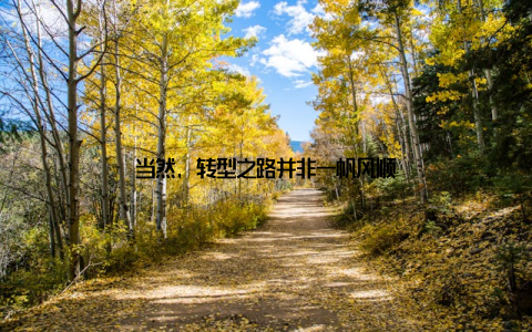 当然, 转型之路并非一帆风顺