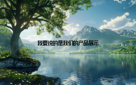 我要说的是我们的产品展示