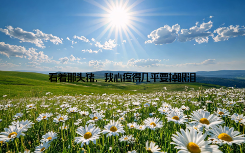 看着那头猪, 我心疼得几乎要掉眼泪