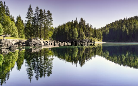 这句话深深地触动了我