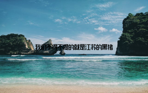 我们不得不提的就是江苏的黑猪