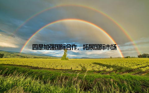 四是加强国际合作, 拓展国际市场