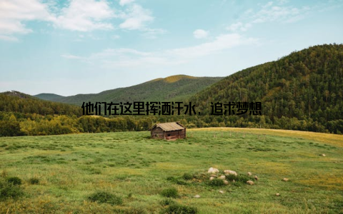 他们在这里挥洒汗水, 追求梦想