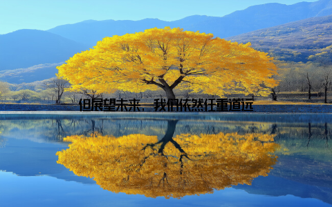 但展望未来, 我们依然任重道远