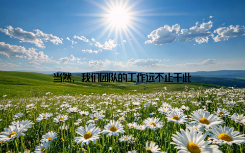 当然, 我们团队的工作远不止于此