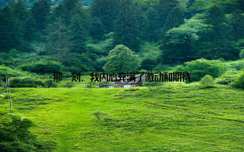 那一刻, 我内心充满了激动和期待