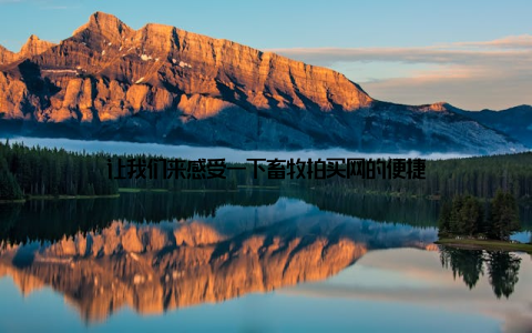 让我们来感受一下畜牧拍买网的便捷