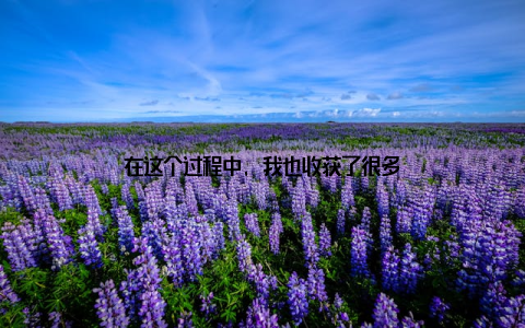 在这个过程中, 我也收获了很多