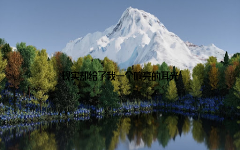 现实却给了我一个响亮的耳光