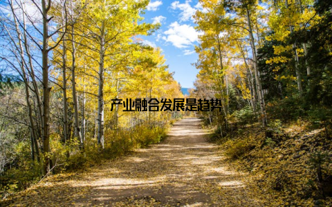 产业融合发展是趋势