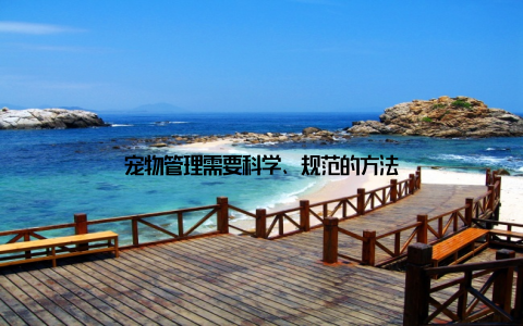 宠物管理需要科学、规范的方法
