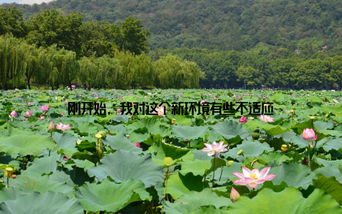 刚开始, 我对这个新环境有些不适应