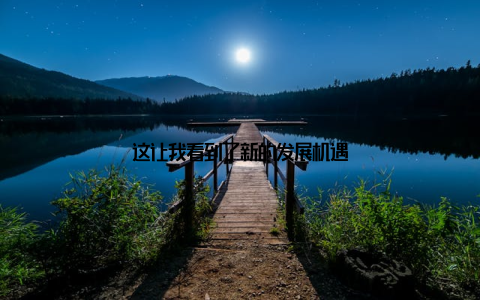 这让我看到了新的发展机遇