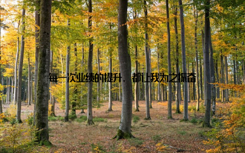 每一次业绩的提升, 都让我为之振奋