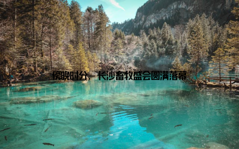 傍晚时分, 长沙畜牧盛会圆满落幕