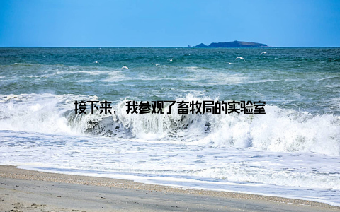 接下来, 我参观了畜牧局的实验室