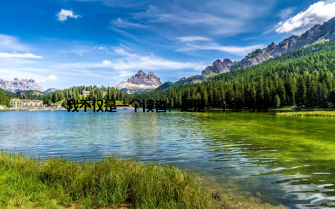 我不仅是一个读者, 更是一个参与者