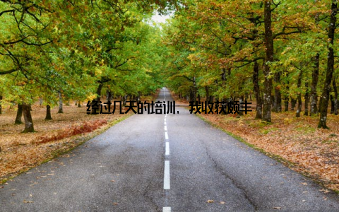 经过几天的培训, 我收获颇丰