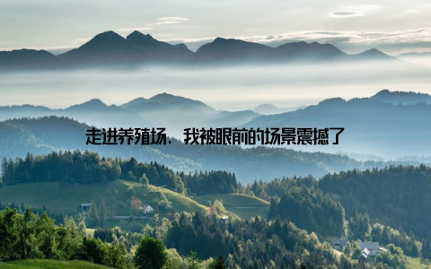 走进养殖场, 我被眼前的场景震撼了