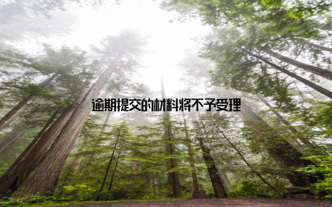 逾期提交的材料将不予受理