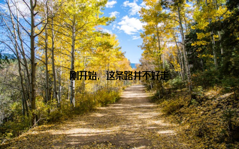 刚开始, 这条路并不好走