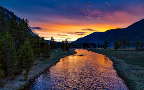 接着, 我来到了一个养鸡的展位