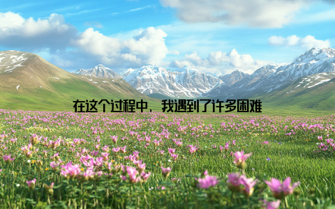 在这个过程中, 我遇到了许多困难