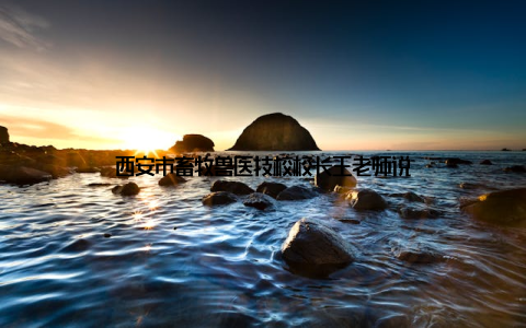 西安市畜牧兽医技校校长王老师说