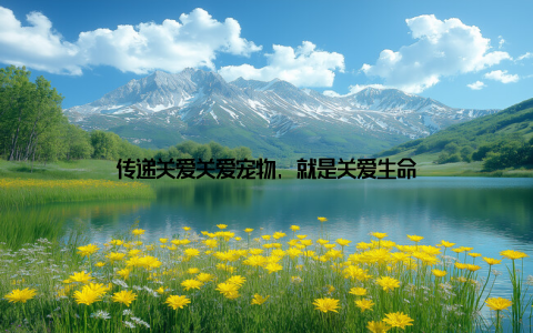 传递关爱关爱宠物, 就是关爱生命