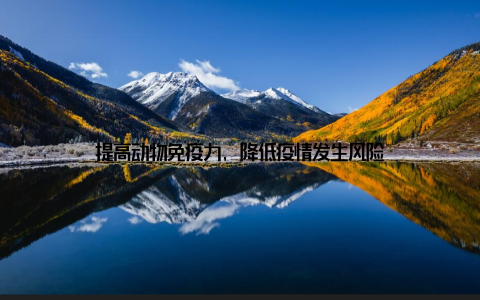 提高动物免疫力, 降低疫情发生风险