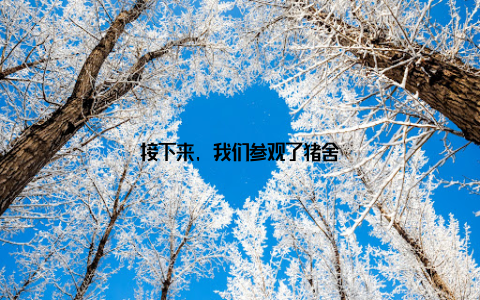 接下来, 我们参观了猪舍