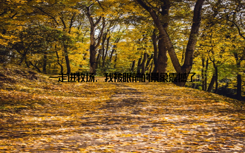 一走进牧场, 我被眼前的景象震撼了