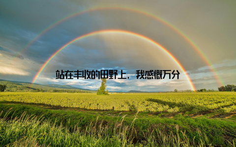 站在丰收的田野上, 我感慨万分