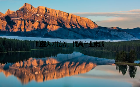 加强人才培养, 提高产业素质