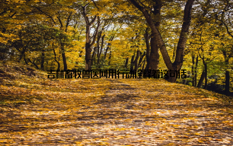 吉林畜牧兽医网用行动诠释着这句话