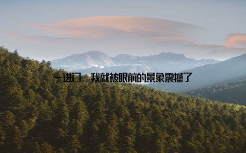 一进门, 我就被眼前的景象震撼了